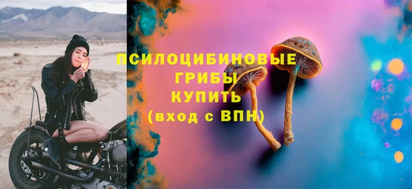 эйфоретик Пестово
