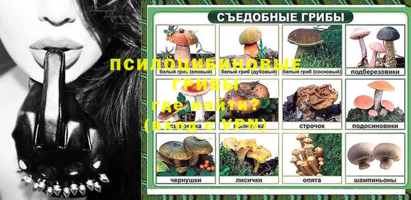 a pvp Аркадак