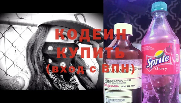 шишки Переславль-Залесский