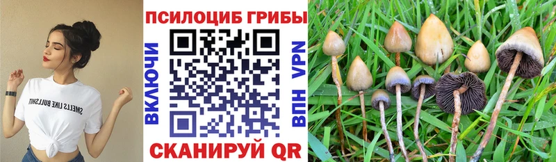 Псилоцибиновые грибы Cubensis  Армянск 